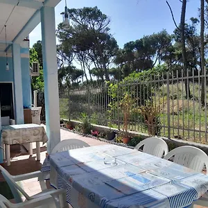  Appartamento Bibbona Summer - Intero -